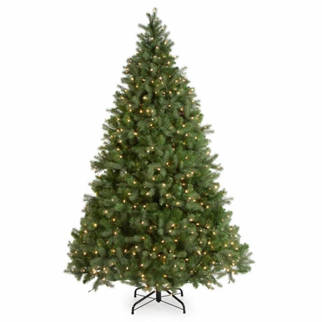 National Tree Company Downswept Douglas Fir Medium Pre-lit Christmas Tree