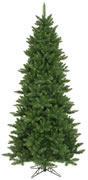 slim christmas tree